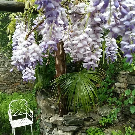 Apartment Casa Grillino Brione sopra Minusio