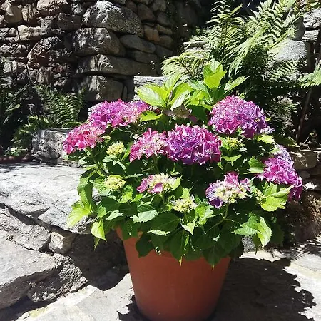 Apartment Casa Grillino Brione sopra Minusio